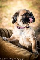 Foster Trudy-2