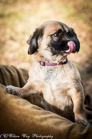 Foster Trudy-2