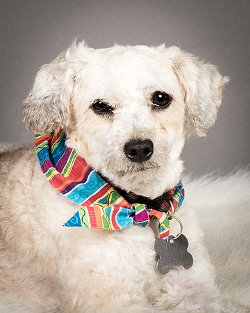 Foster Alma-3449