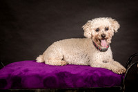 Foster Mae-8958