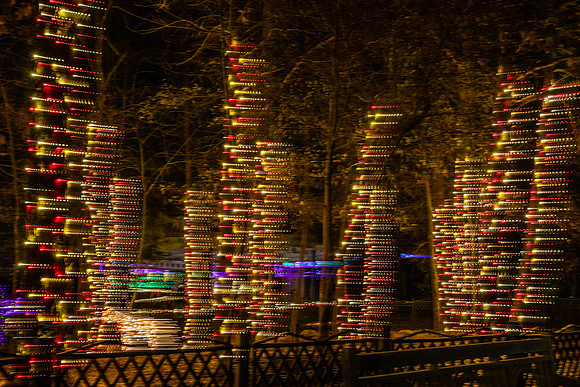 Christmas-2644