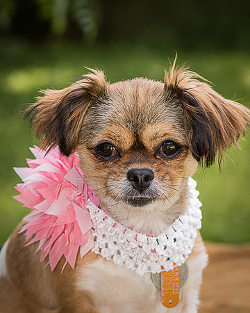 Foster Missy-0553