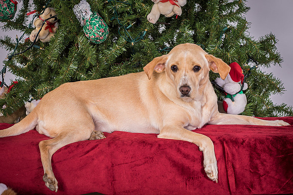 Foster June-3569