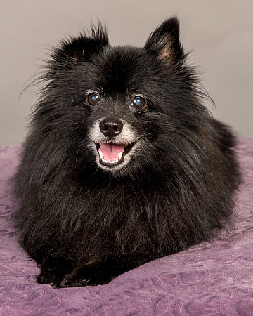 Foster Wayne-8285