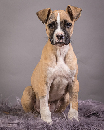 Foster Barnabas-4482