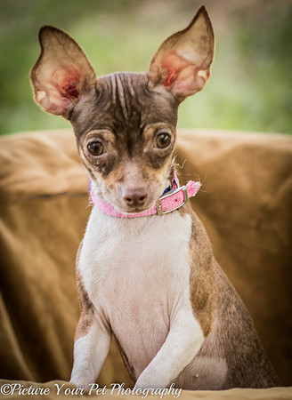 Foster Joanie-3741