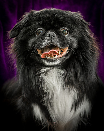 Foster Prince-0957
