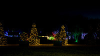 Christmas-2527