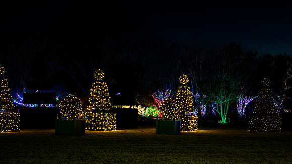 Christmas-2527