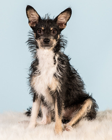 Foster Riley-5043