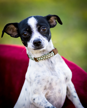 Foster Haylie-3981