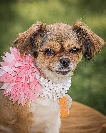 Foster Missy-0571