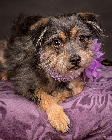 Foster Nadine-9645