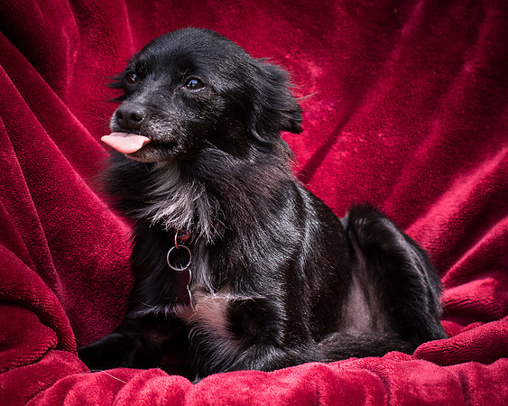 Foster Julio-8401