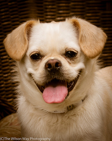 Foster Bonnie-3006