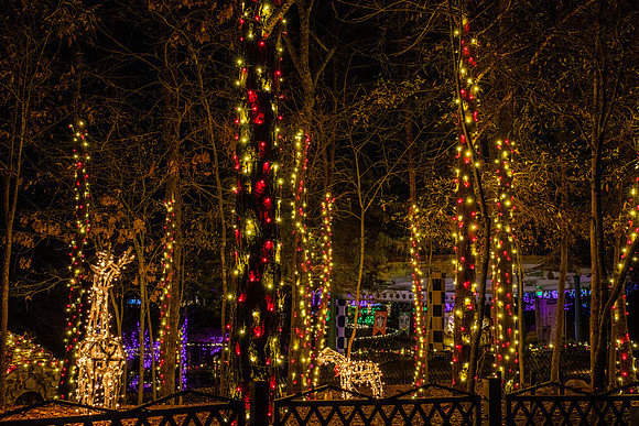 Christmas-2648