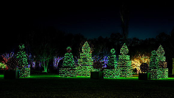 Christmas-2525