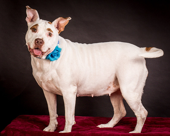 Foster Joanie-0455