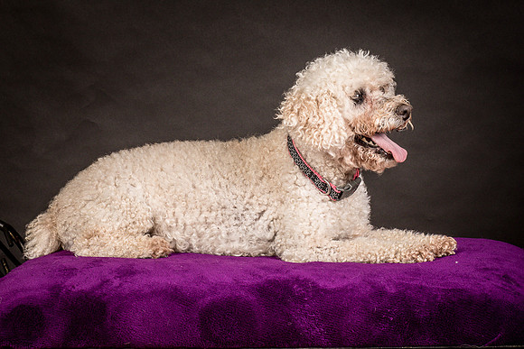 Foster Mae-8989