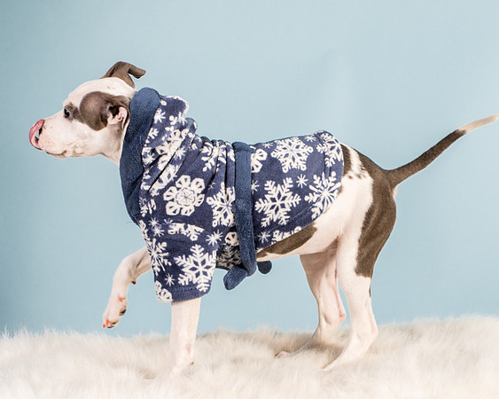 Foster Luna-4761