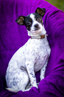 Foster Haylie-4053