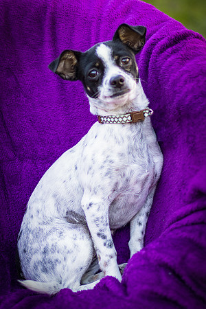 Foster Haylie-4053