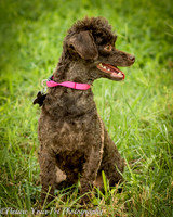 Foster Edna-2931