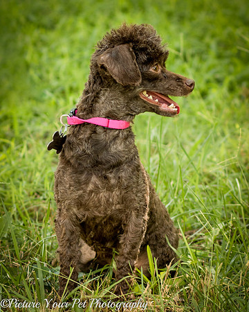 Foster Edna-2931
