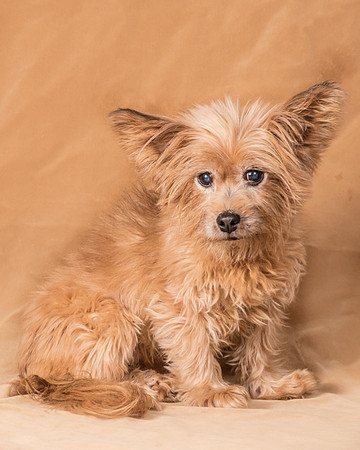 Foster Nessa-5611