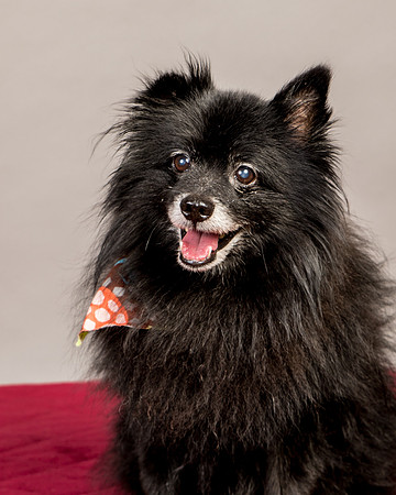 Foster Wayne-7849
