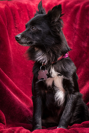 Foster Julio-8426