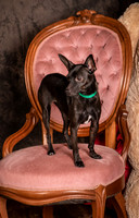 Foster Elvira-0160