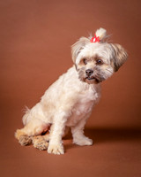 Foster Frida-9748