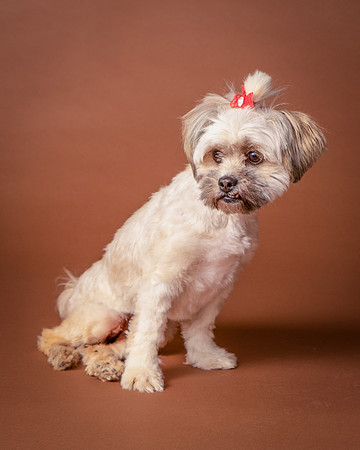 Foster Frida-9748