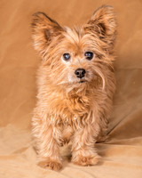 Foster Nessa-5616