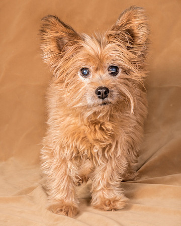 Foster Nessa-5616