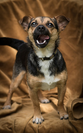 Foster Calvin-0842