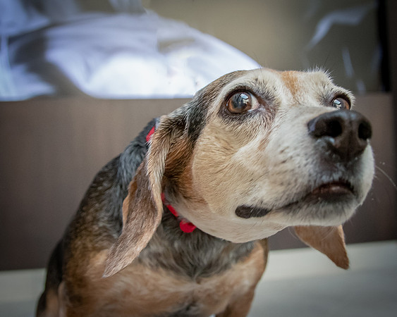 Ella-2-13