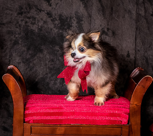 Foster Gabe-4452