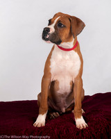 Foster Lenny-3006