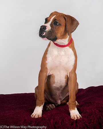 Foster Lenny-3006