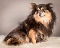 Foster Clint-4210
