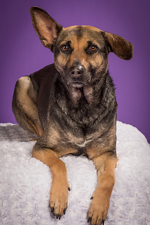 Izzy-2237
