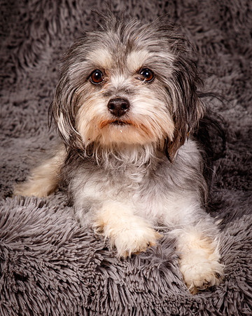 Foster Alex-6234