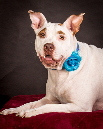 Foster Joanie-0475