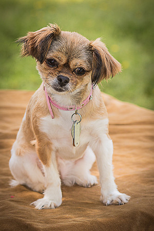 Foster Missy-0468