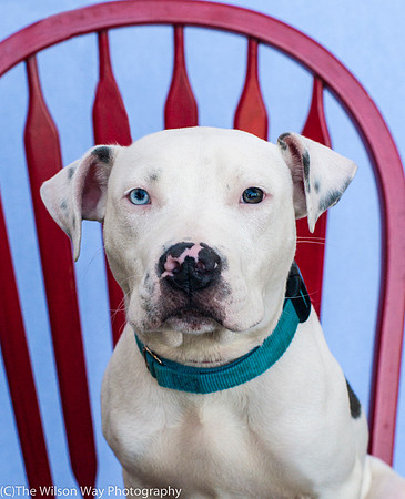 Foster Curt-9216