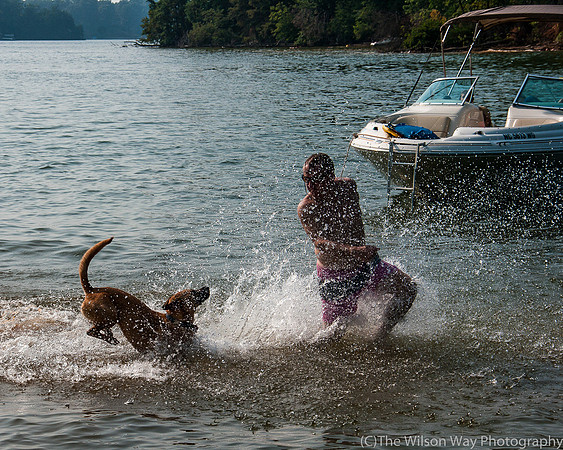 Roxy on the run-7993