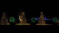 Christmas-2528