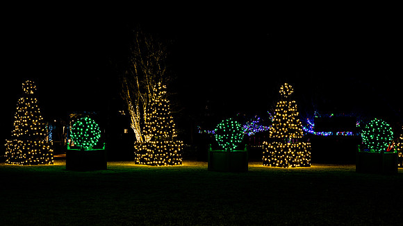 Christmas-2528